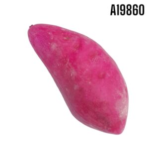 CAMOTE ARTIFICIAL
