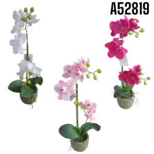 MACETA DE ORQUIDEA MARIPOSA