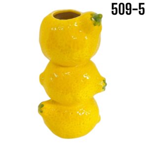 FLORERO LIMON LOZA
